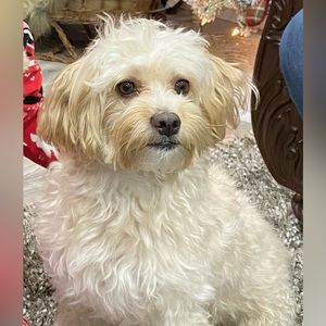 Meet your Posher, Kamila